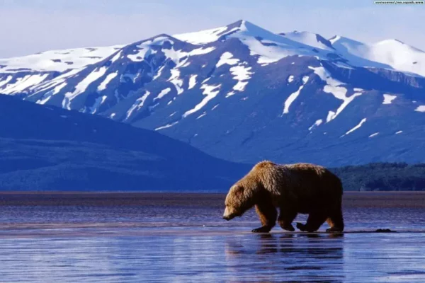 Alaska Estados Unidos