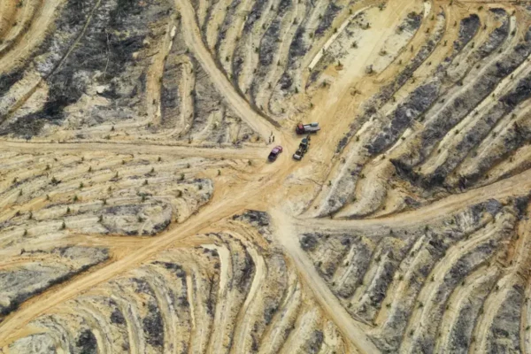 Historia y Contexto de la Deforestación para Cultivos