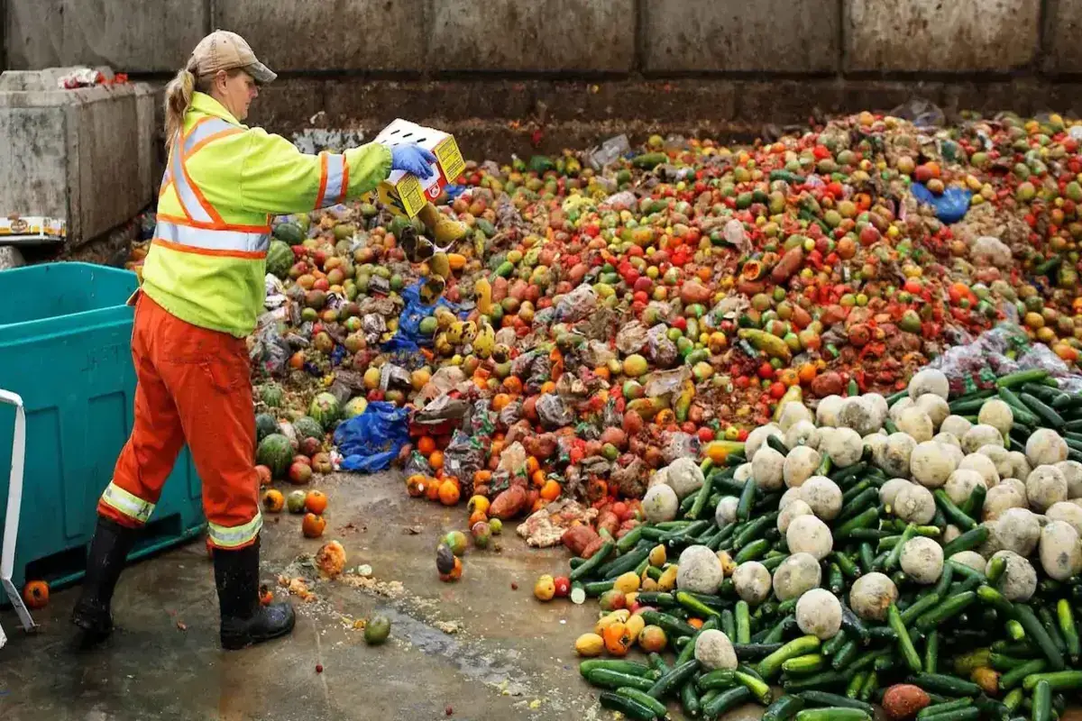 Sobreproducción de Alimentos Desperdicio y Desafíos Ambientales