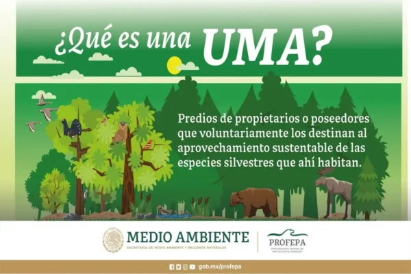 El Papel Fundamental de SUMA en la Conservación de la Biodiversidad