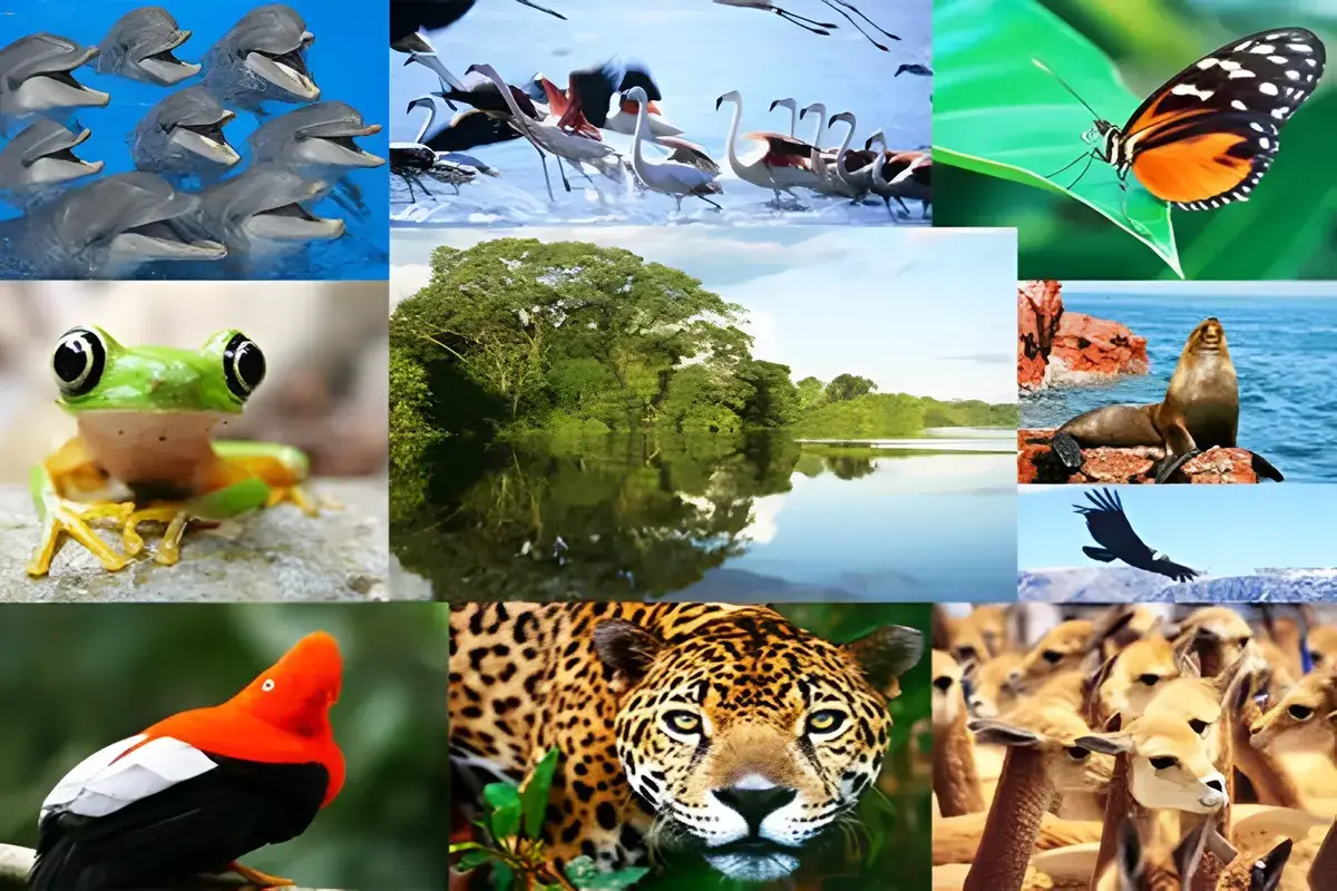 Megadiversidad Más Allá de la Biodiversidad, un Mundo por Descubrir