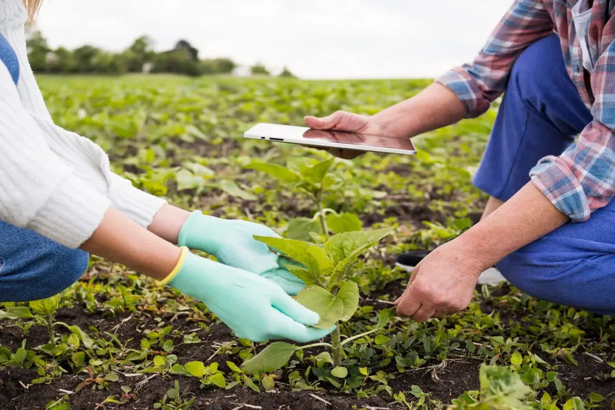 Agroecología Cultivando un futuro mejor