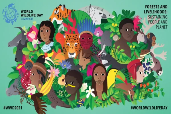 El 3 de marzo Dia mundial de la vida silvestre Un llamado a la acción este 2021