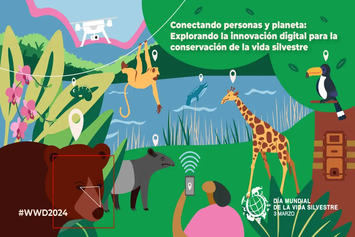 El 3 de marzo Dia mundial de la vida silvestre: Un llamado a la acción este 2024