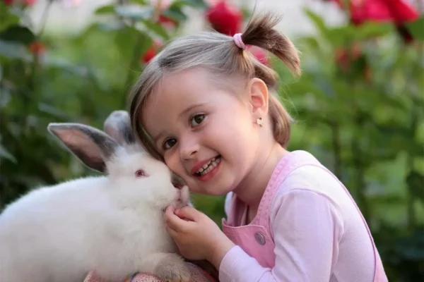 conejo doméstico para niños