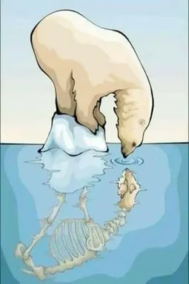 dibujos de la contaminacion del agua oso polar viendo su reflejo