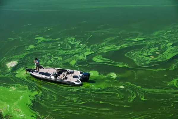 imagenes de la contaminacion del agua hombre navega por derrame de combustible